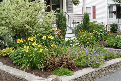 No Mow Front Yard Traditional Landscape Boston By Terrascapes