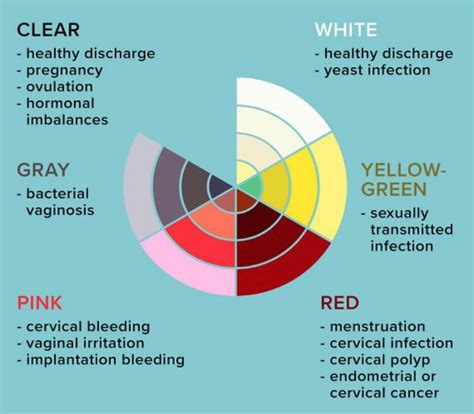 Mucus Green And Yellow Discharge Explain Difference