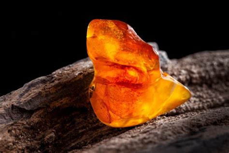 Amber Ultimate Guide To Collecting Amber What It Is And How To Find