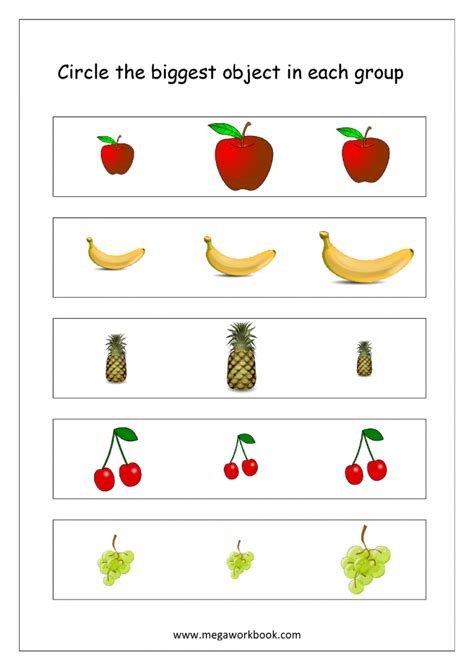 bigger  smaller fruits  veggies worksheets worksheets