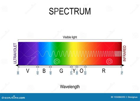 Visible Spectrum Color Infographic Of Sunlight Color Stock Vector