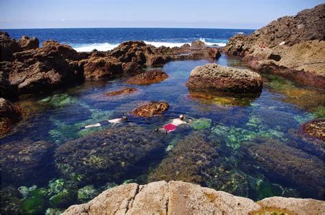 Tide Pool In Poor Knights Island New Zealand One Of My Favourite