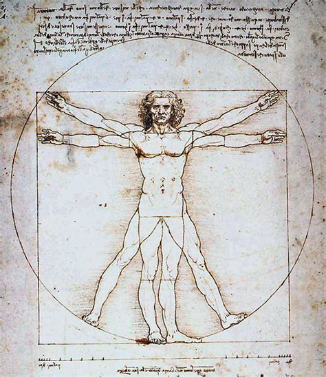 Leonardo Da Vinci The Vitruvian Man