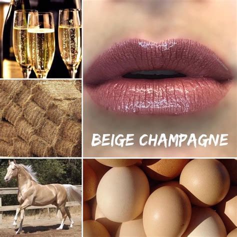 Beige Champagne Lipsense Kiss Proof Lipsense Distributor