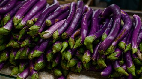 how chinese eggplants compare to other varieties
