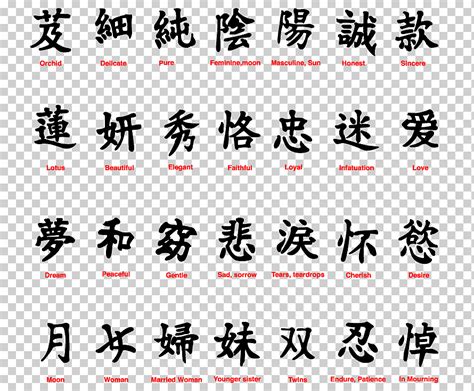 Caracteres Chinos Símbolo Chino Kanji Símbolo Diverso Texto Número