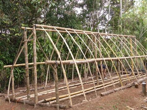 Get the latest this old house news, trusted tips, tricks, and diy smarts projects from our. 13 DIY High Tunnel Ideas to Build in Your Garden | 1000 in 2020 | Bamboo garden, Greenhouse ...