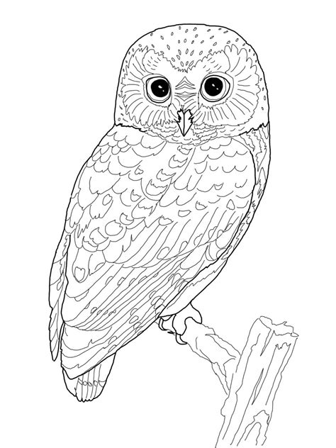 Get the best of them in here! OWL Coloring Pages for Adults. Free Detailed Owl Coloring ...