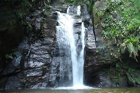 Experience A Lovely Hike Through Tijuca Forest And Pedra Bonita Triphobo