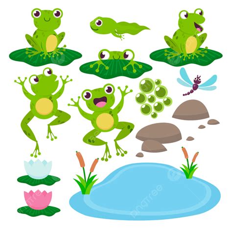 Set Of Cute Drawing Frogs Background Toads Cute Png And Vector With