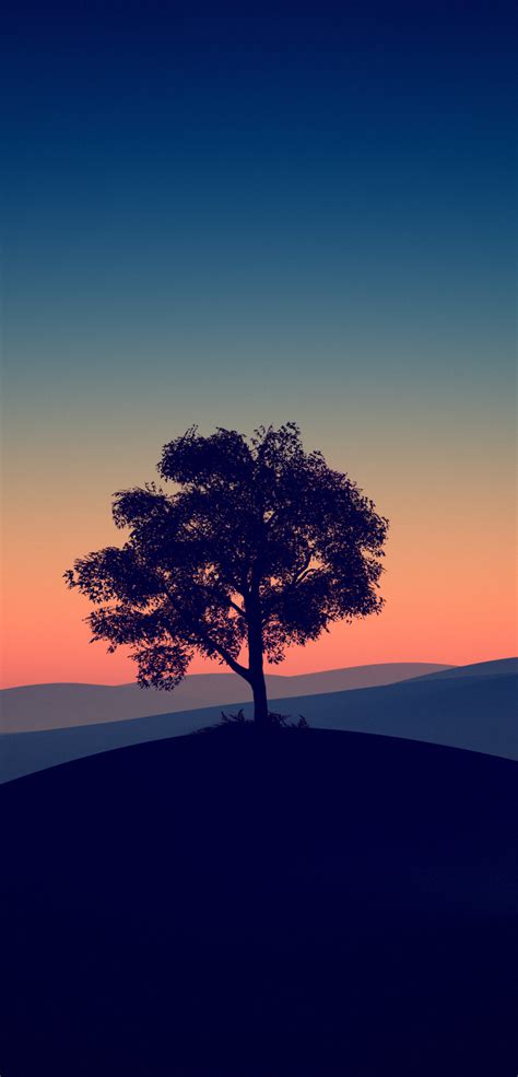 1080x2246 Tree Alone Dark Evening 4k 1080x2246 Resolution Wallpaper Hd