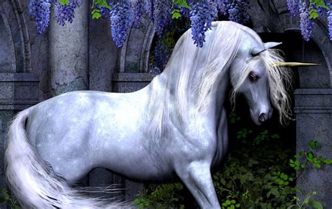 Curiosidades De Los Unicornios Tienda De Unicornios Online