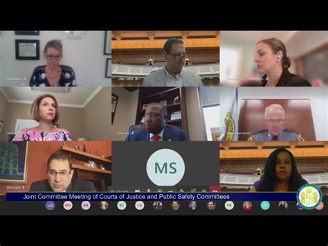 Video Day 1 Of Virginia House Of Delegates Public Hearings On Police
