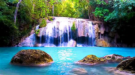 Relaxing Nature Sounds Ambient Jungle Waterfall 247 Live Stream