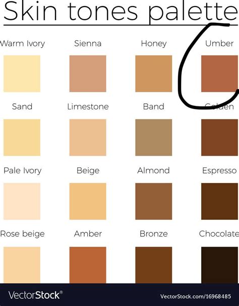 Skin Tone Skin Color Palette Colors For Skin Tone Skin Tone Chart
