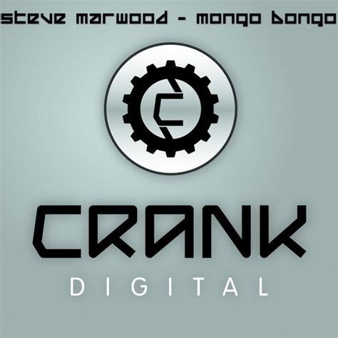 mongo bongo single by steve marwood spotify