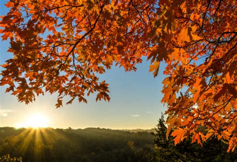 Here Are The Best Times And Places To View Fall Foliage In Missouri