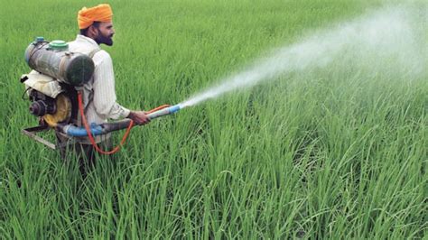 govt agencies flout own pest control norms encougarge farmers to use chemical pesticides finds