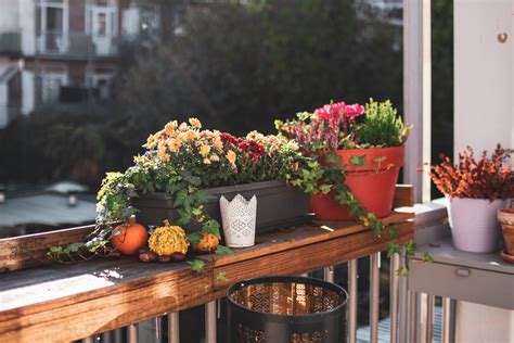 Notre balcon d automne À deux c est mieux