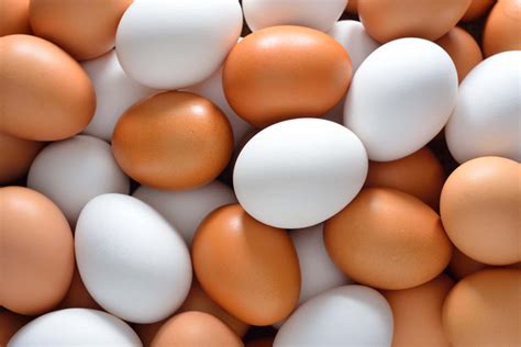 The Chicken or the Egg: How Changing Racist Attitudes Leads to Changing Racist Institutions 