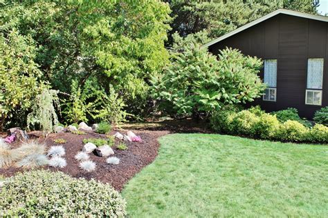 How To Create A Landscape Berm With Easy Plants