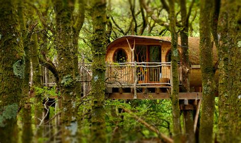 Beautifully Designed Treehouse In A Hidden Welsh Woodland 1 At Living