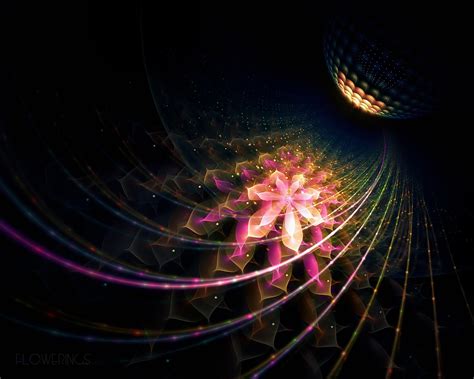 배경 화면 밤 반사 구체 대칭 원 빛 색깔 꽃 모양 선 어둠 컴퓨터 벽지 프랙탈 아트 회전