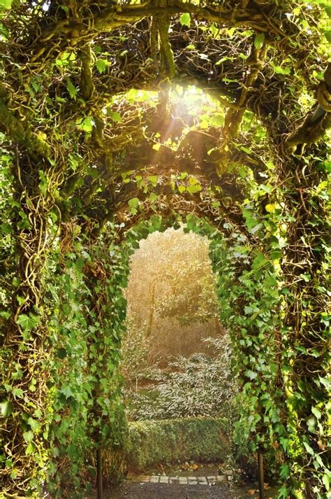 Archway Of Ivy Trellis In English Garden Garden With Ivy Archway Of