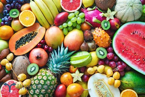 Was Ist Der Unterschied Zwischen Obst Und Gemüse Unterschiede
