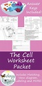 Free Printable Cell Theory Worksheets