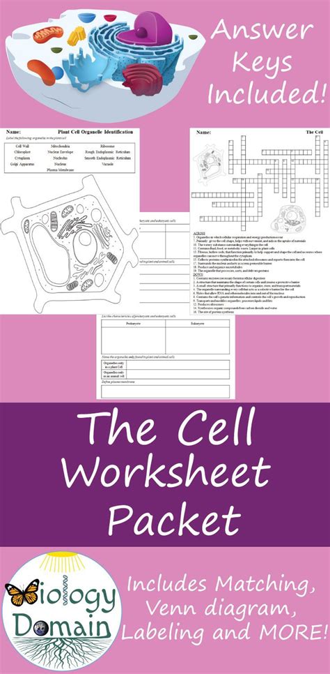 6th Grade Science Cells Worksheets