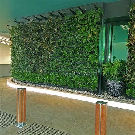 Green Wall Gold Coast Vista Concepts Green Wall Supplier