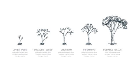 Er, is it intended that the stage just vanish in thin air and only leaves random ellements like gems, ennemies and backgorund visual floating in mid air? Stages Of Growing Tree Vector Sketch Illustration ...