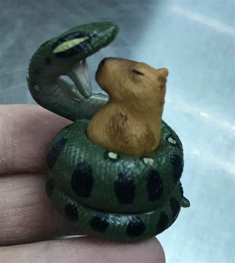Custom Made Capybara With Anaconda Animal Mini Pvc Figurine Etsy