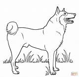 Coloring Dane Dog Popular sketch template