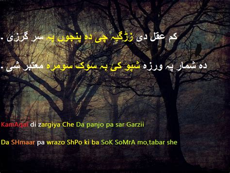 100 Pashto Poetry Shayari Shairi Pashto Poetry Lovers Quote Poetry