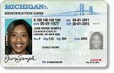 Michigan License Check Pictures