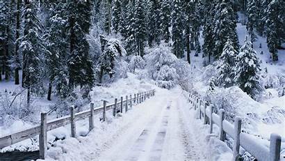 Snow Winter Nature Bridge Landscape Desktop Backgrounds