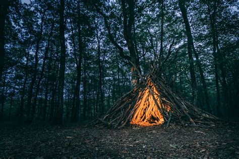 Forest Camp Pictures Download Free Images On Unsplash