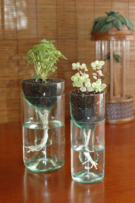 Self Watering Planter Made From Recycled Wine Bottle Gardening Ideas