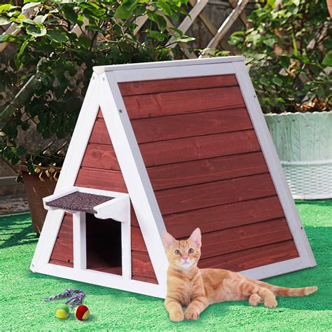 21 Konsep Baru Outdoor Cat House