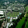 312 best images about Wimbledon Tennis on Pinterest