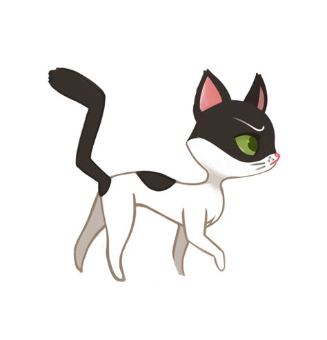 Cat Kitten Animation Drawing  Png Download 876912 Free