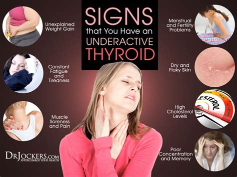 Thyroid Strong Dr Jockers Store Thyroid Symptoms Underactive