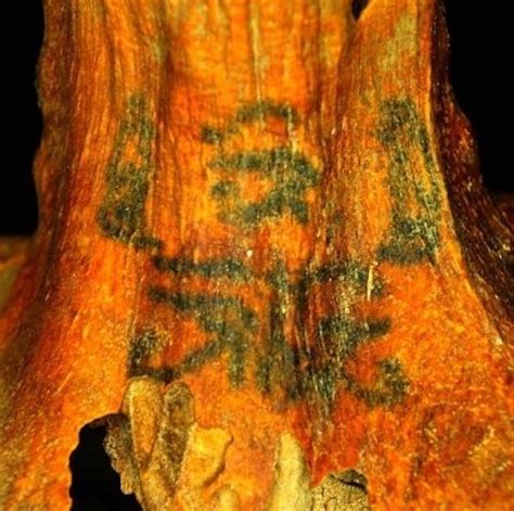 Archaeologist Discovers Hidden Tattoos On Egyptian Mummies Inside Out
