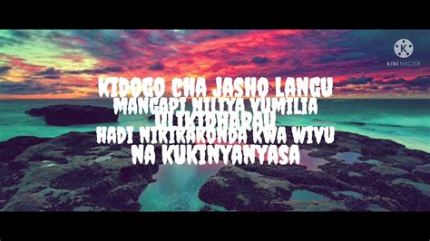 Harmonize Nishachoka Lyrics Video Youtube