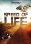 Subscene - Speed of Life English subtitle