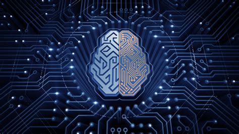 Brain Intelligence Wallpapers Top Free Brain Intelligence Backgrounds