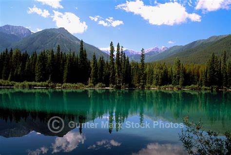 Blue Lake Elk Valley Rockies Bc Pictures Images Gunter Marx Stock Photos