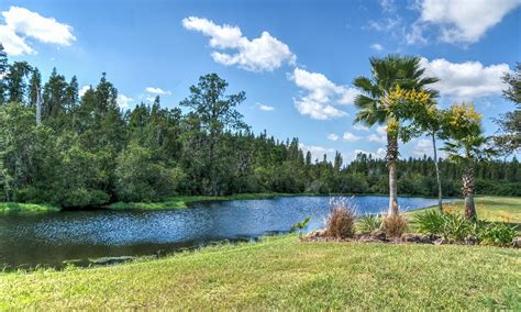 Florida Landscape Pond Palm Trees Free Photo On Pixabay Pixabay